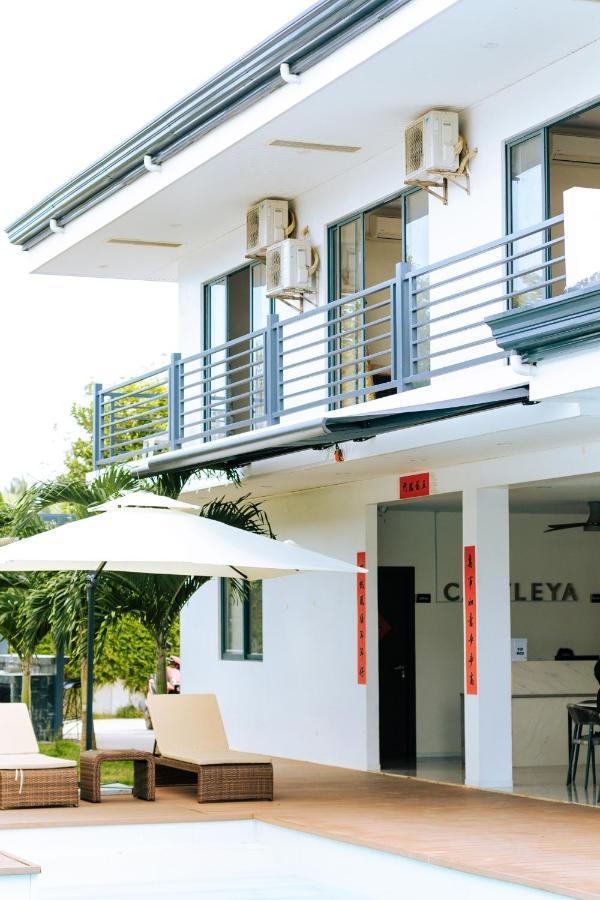 Bohol Cattleya Resort Panglao Exterior foto